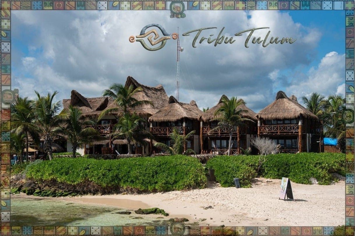 Airbnb y Rentas Vacacionales en Tulum: ROI y Gestion