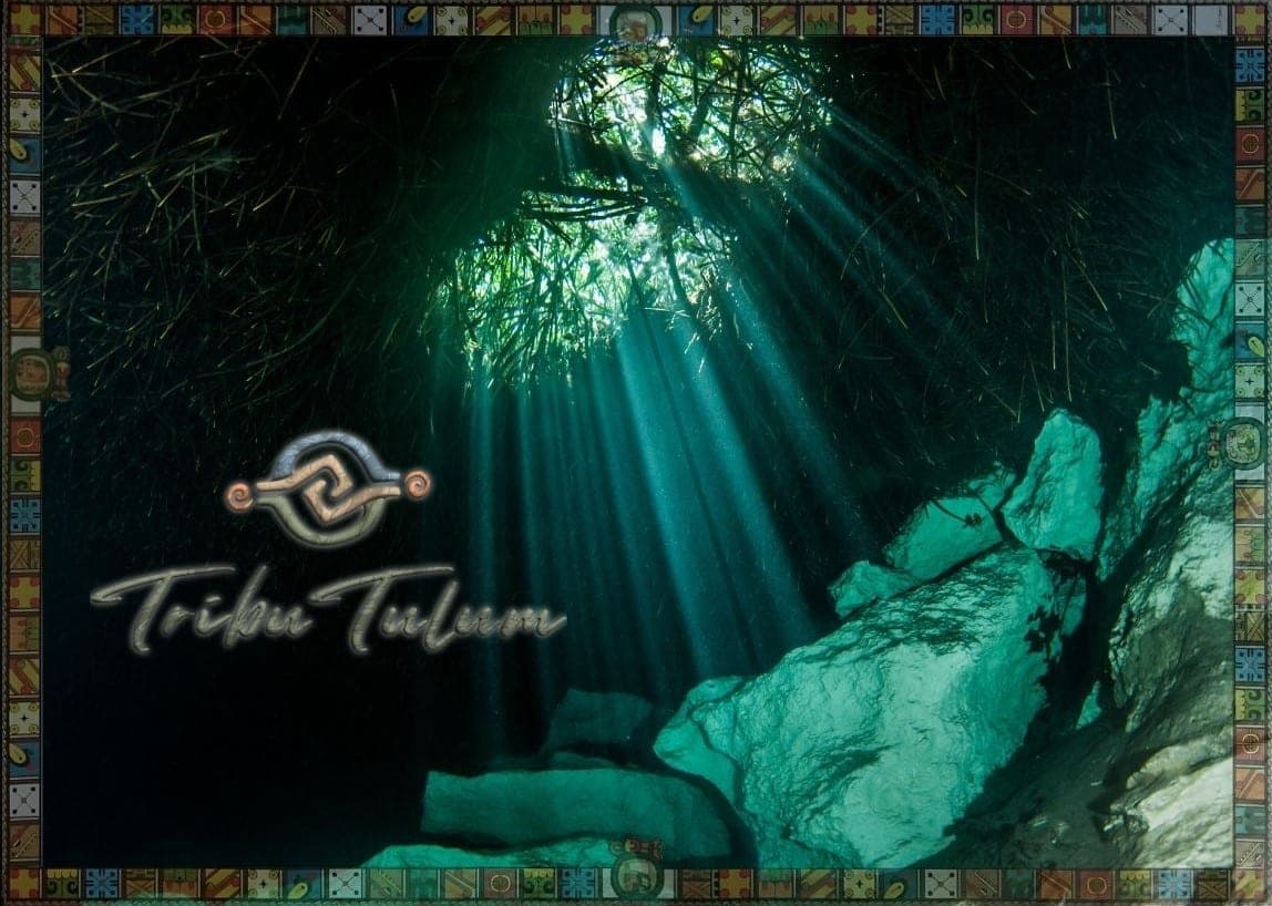 Buceo en Tulum y Cenotes: Guia para Principiantes y Avanzados