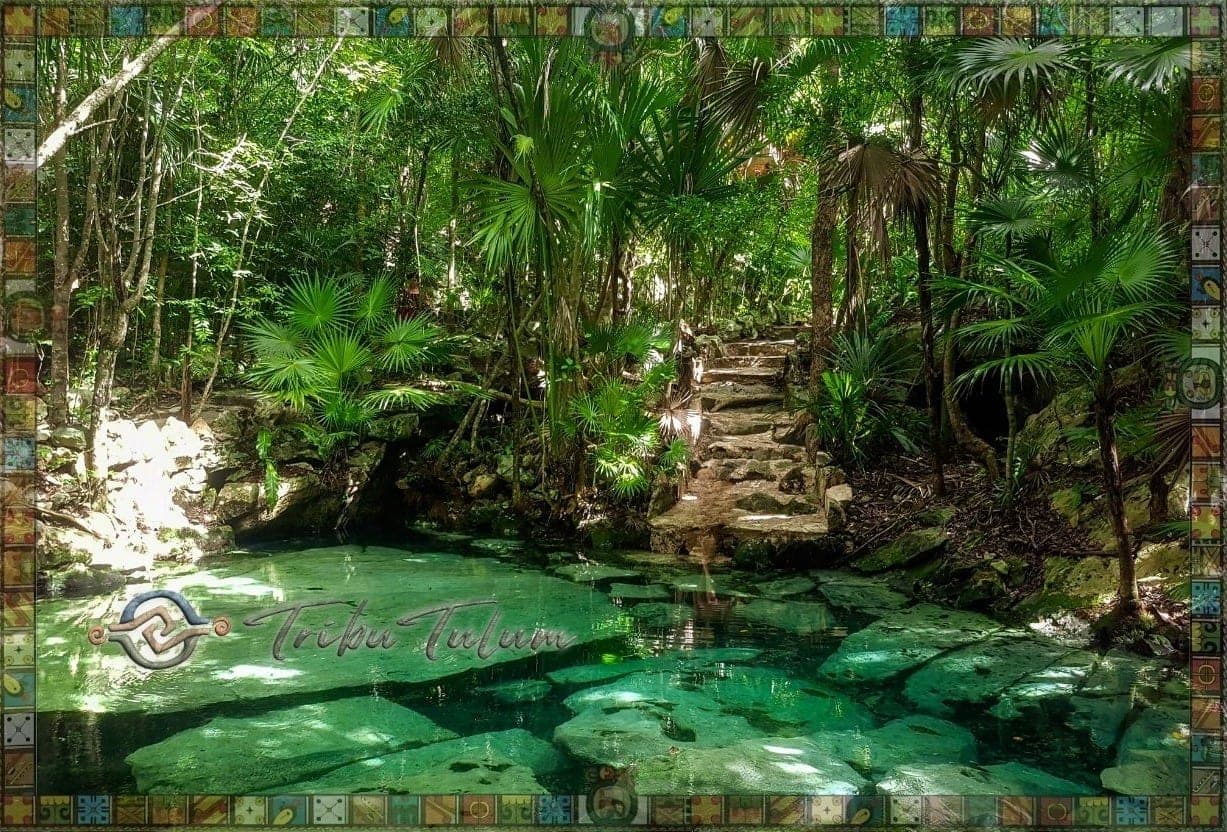 Cenotes para Familias con Ninos en Tulum