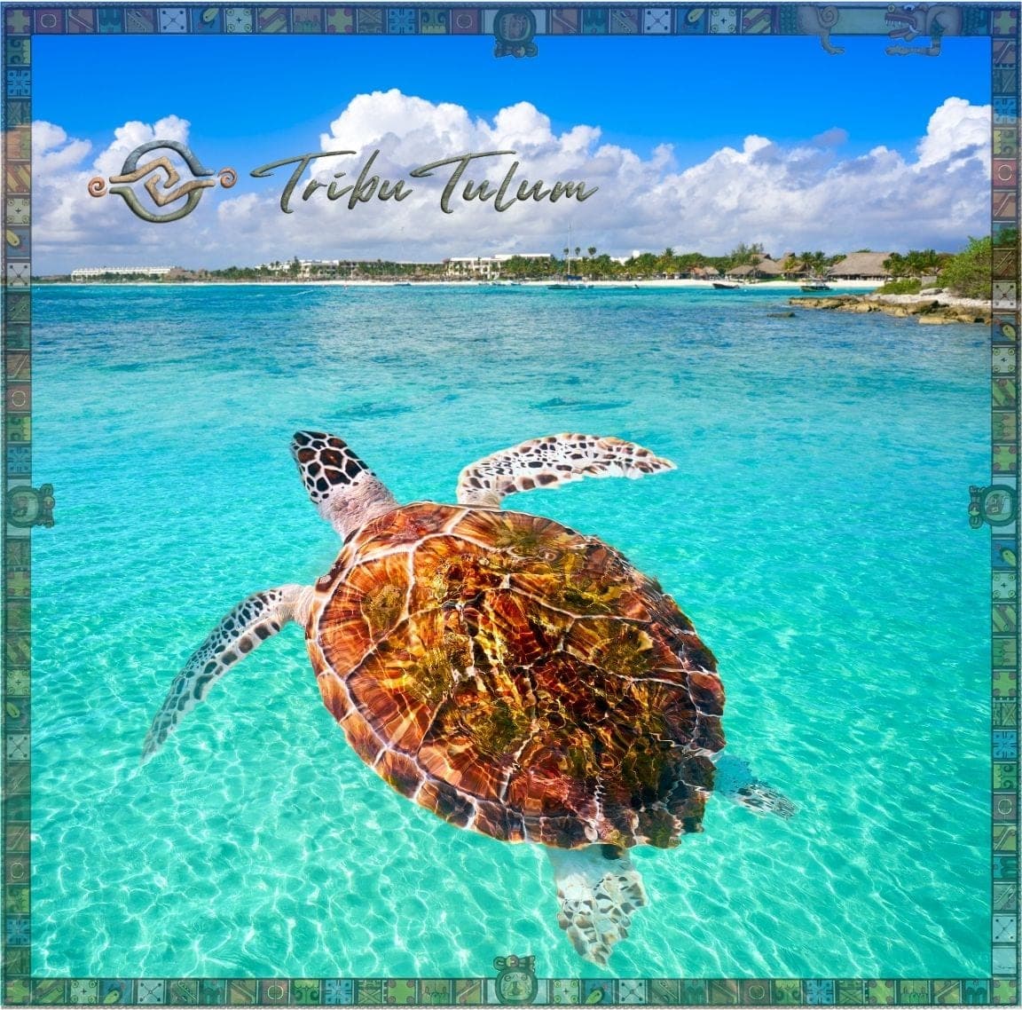 Flora y Fauna de Tulum: Tortugas, Aves y Vida Silvestre