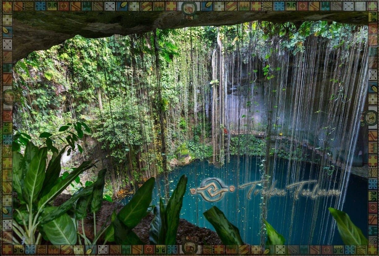 Cenote Geology: How They Form and Why They Only Exist Here