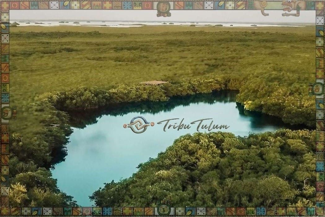 Kayak y Paddleboard en Tulum: Manglares, Lagunas y Mar