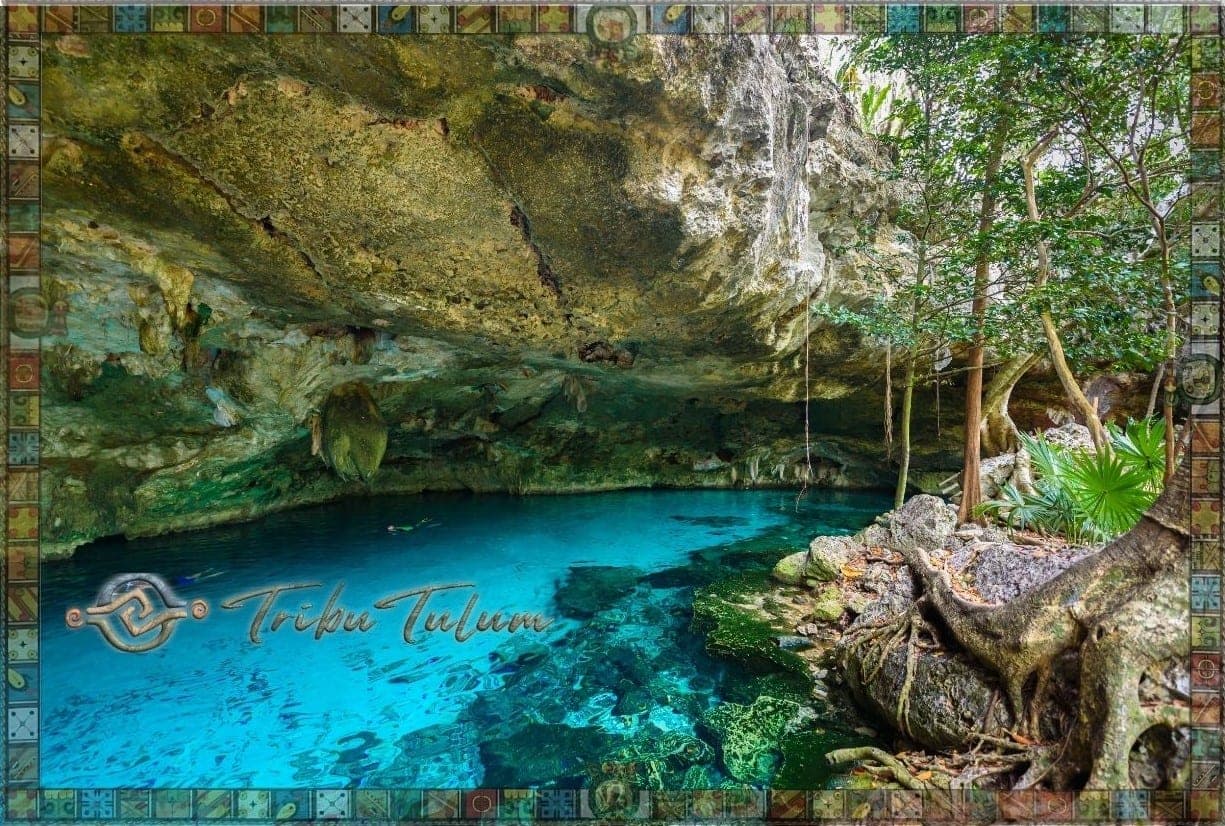 Los Mejores Cenotes Cerca de Tulum: Guia Completa