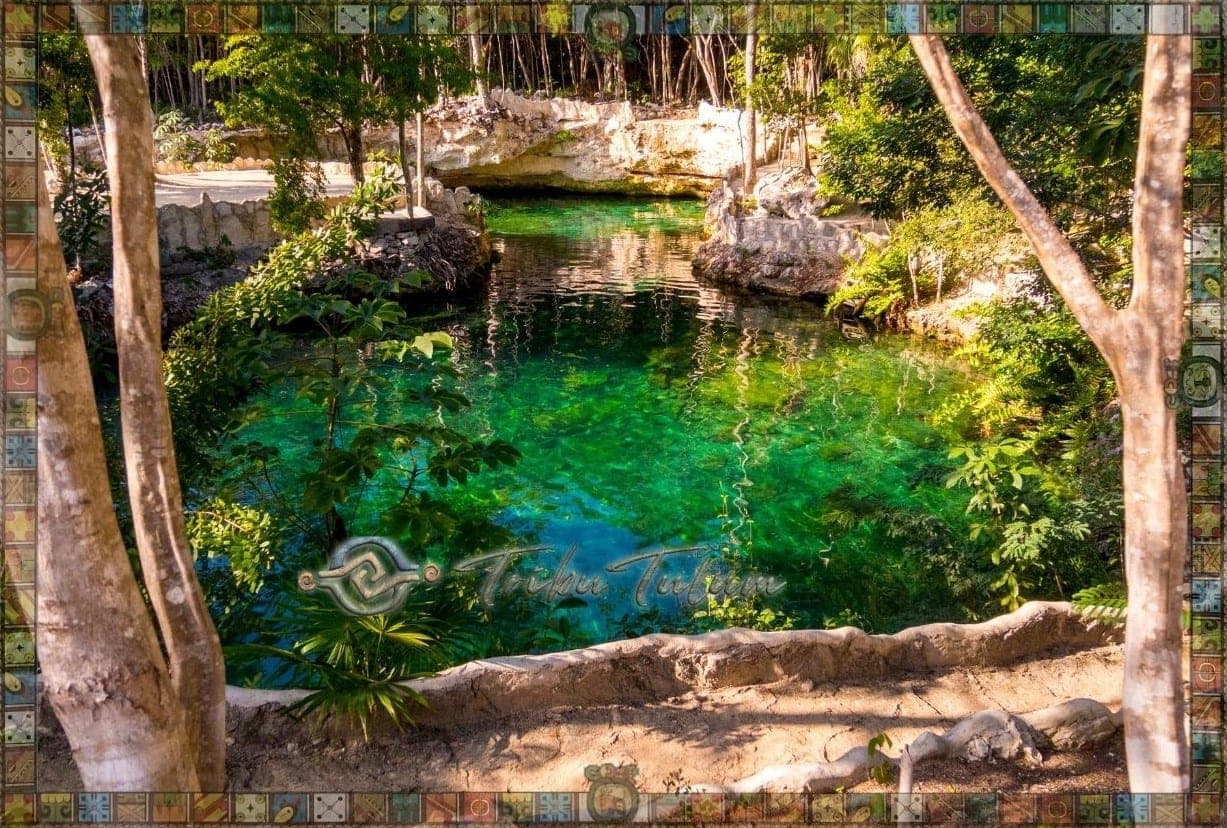 Temporada de Tortugas Marinas en Tulum: Cuando y Donde Verlas