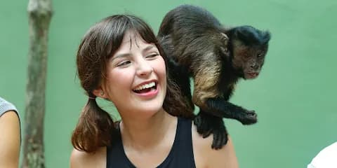 Akumal Monkey Sanctuary & Rescued Animals