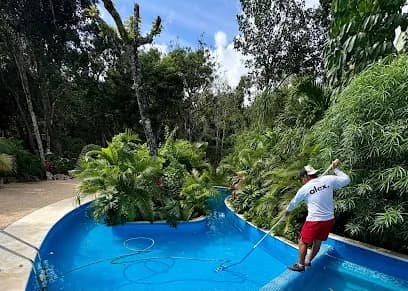 Servicio de limpieza y mantenimiento de albercas Alex The Pool Guy