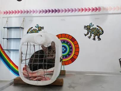 Veterinaria Akumalix