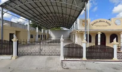 La tienda la margarita