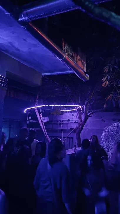 Bestiario Tulum