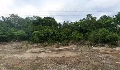 Cenote Tucha Ha
