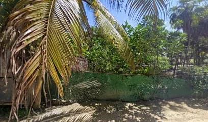 ALEF bungalows & holistic center