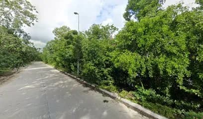 Brand New 2 BR PH Private Pool W307