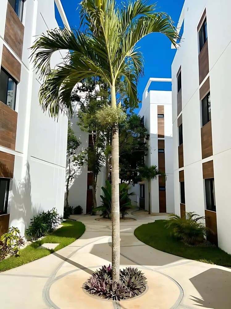 El Penthouse de Mulut.