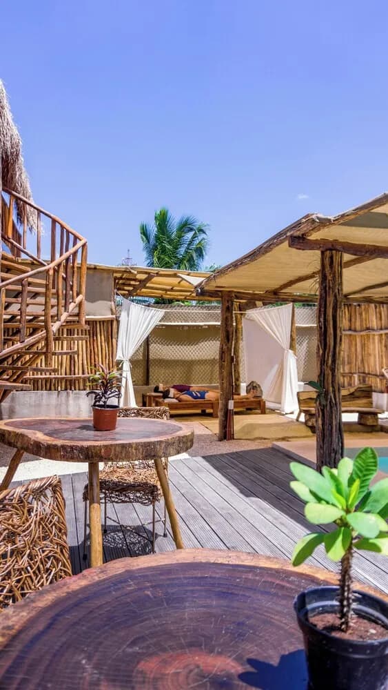 Jungla y Estrellas KAAX EK