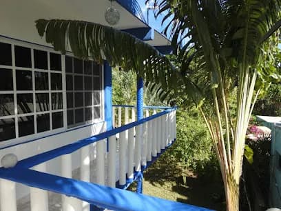 Las Palapas de punta allen