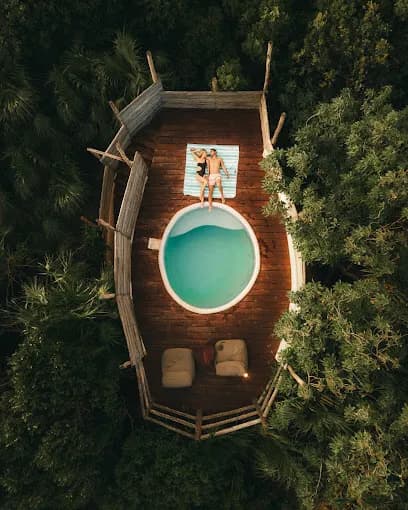 Papaya Playa Project