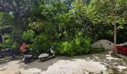 The Beehive Experience