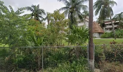 Tulum 30
