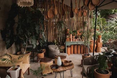 Ditulum – Vivero, paisajismo y macetas