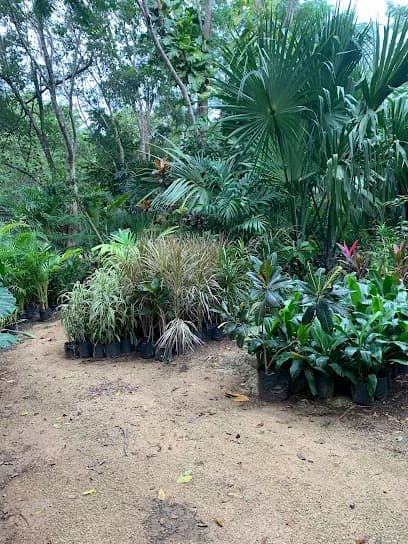 Vivero el Ranchito