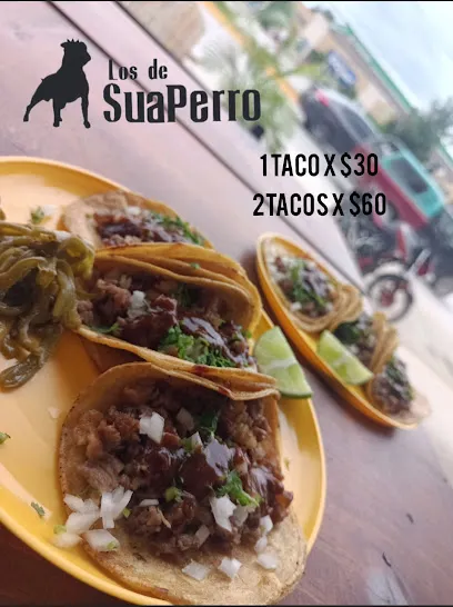 Los de Suaperro Tulum