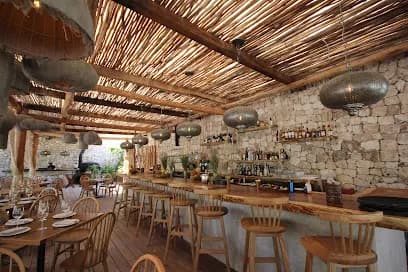 Taboo | Best Beach Club Tulum