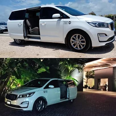 ๐๐๐ฆ๐ ๐ง๐ฟ๐ฎ๐ป๐๐ฝ๐ผ๐ฟ๐๐ฎ๐๐ถ๐ผ๐ป