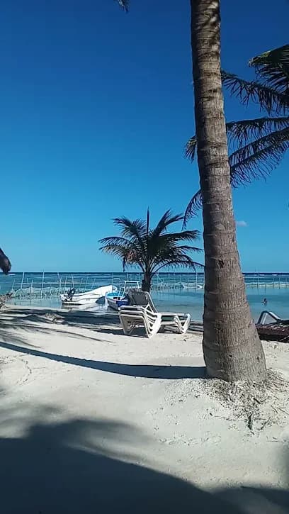 SERVICIOS DE TRANSPORTACION TULUM.