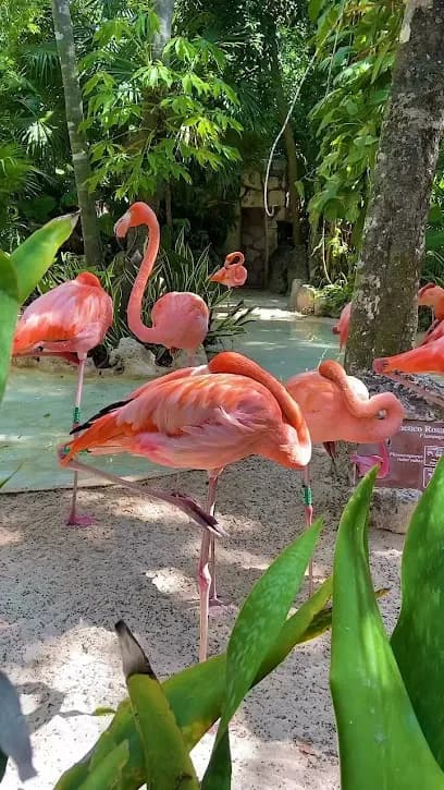 Transportadora Turística RM