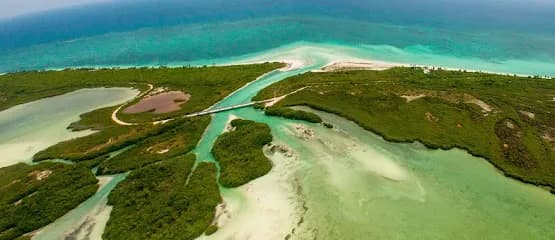 Fishing Kings Tulum