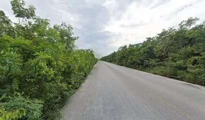 Junglefish S.C. chalecos de nadar