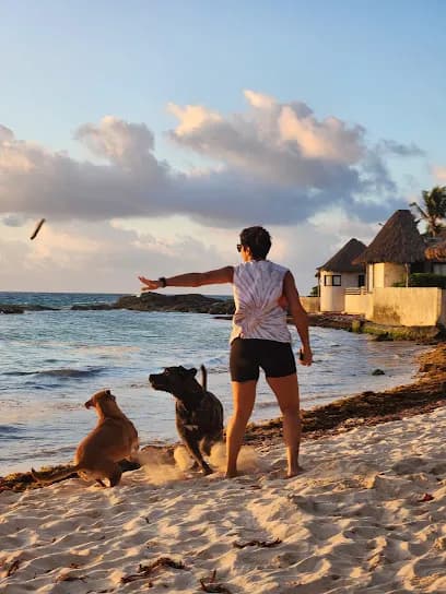 Remo Tulum