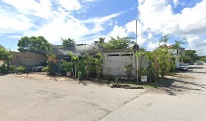 Vivero verde tulum