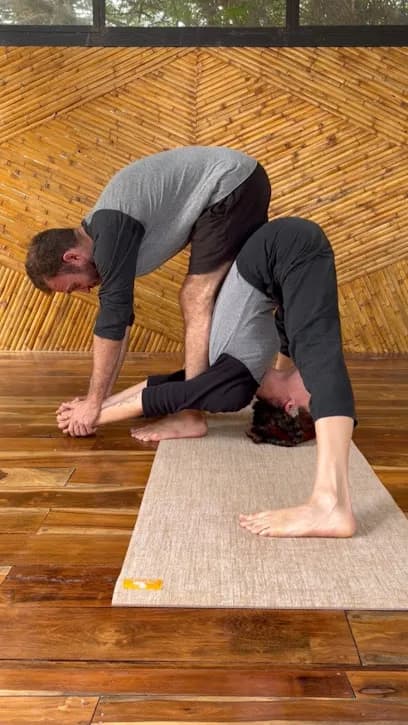 Ashtanga Yoga Tulum