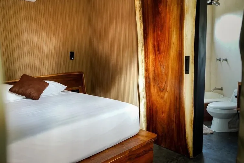 Bufo Alvarius Sanctuary